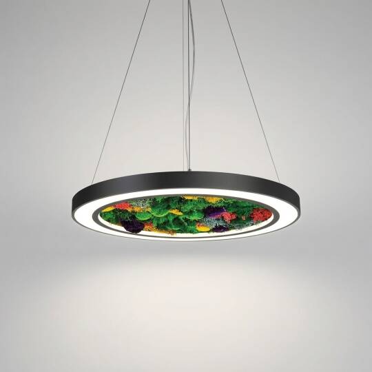ACK 108W Yapay Yosunlu Biyofilik Dekoratif Linear Sarkıt Ø80 cm İnce Kenar Yosunlu Tavan Siyah Kasa AL02-22201 - 3