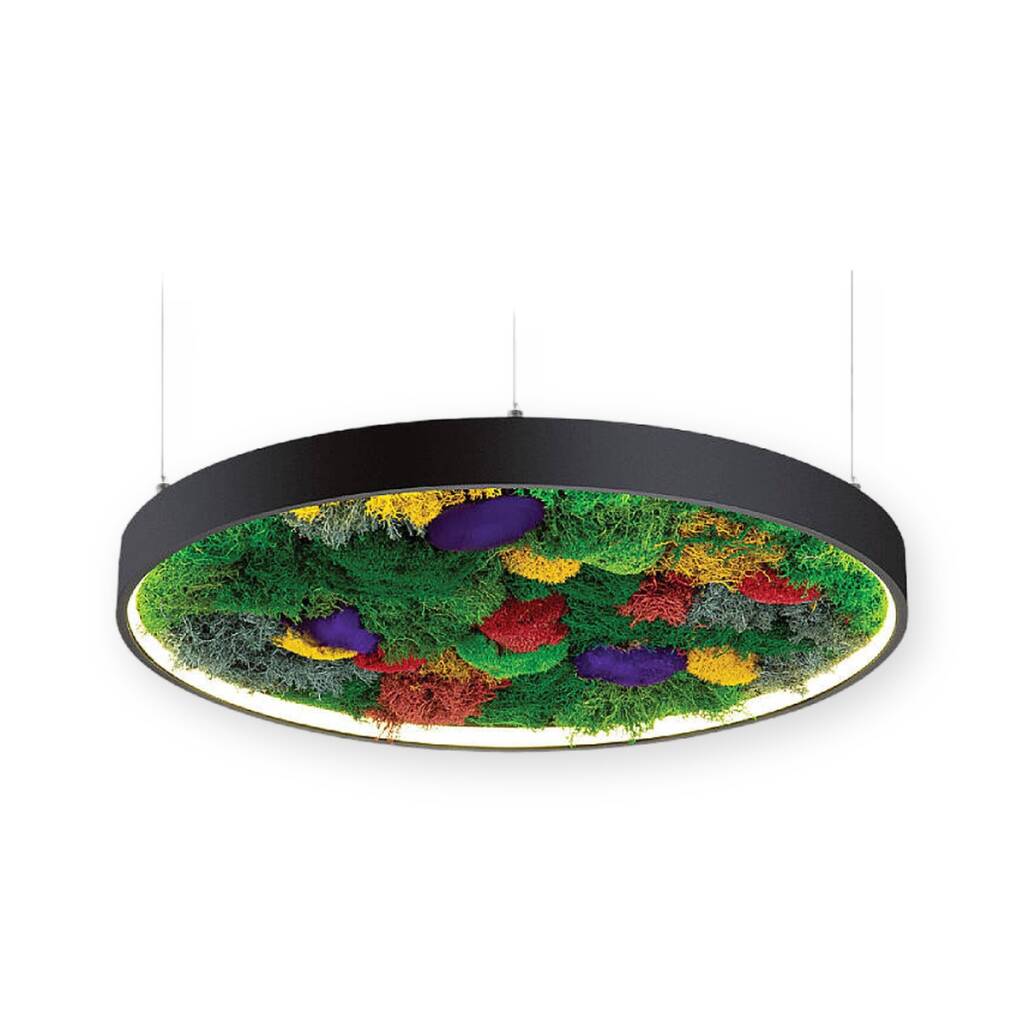 ACK 27W Yapay Yosunlu Biyofilik Dekoratif Linear Sarkıt Ø60 cm Yuvarlak Yosunlu Tavan Siyah Kasa AL02-25101 - 1