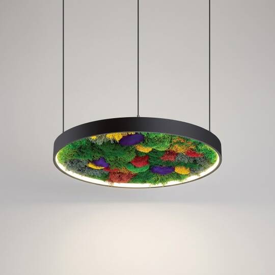 ACK 27W Yapay Yosunlu Biyofilik Dekoratif Linear Sarkıt Ø60 cm Yuvarlak Yosunlu Tavan Siyah Kasa AL02-25101 - 3