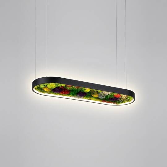 ACK 40W Yapay Yosunlu Biyofilik Dekoratif Linear Sarkıt 30x100 cm Oval Yosunlu Tavan Siyah Kasa AL02-21101 - 3