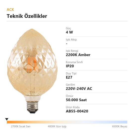 ACK 4W G95 2200K Amber (Sıcak Vintage) LED Rustik Ampul AB55-00420 - 4