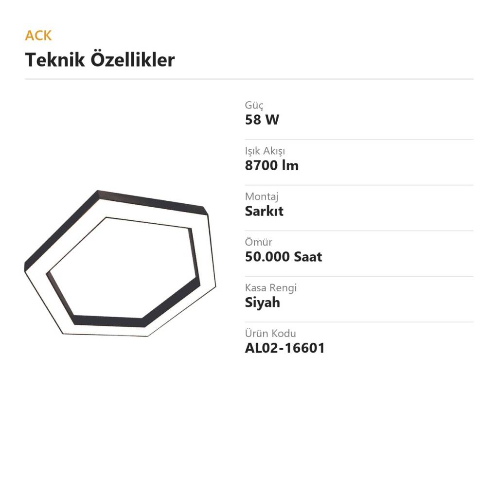 ACK 58W Geniş Çaplı Dekoratif Linear Sarkıt Armatür Ø60 cm Altıgen (Hexagon) Siyah Kasa AL02-16601 - 4