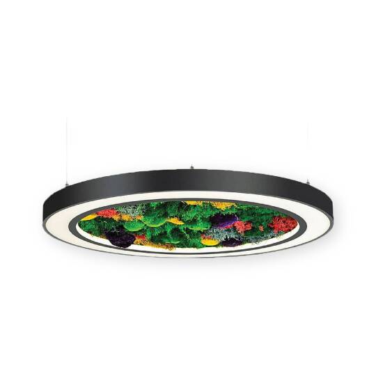 ACK 75W Yapay Yosunlu Biyofilik Dekoratif Linear Sarkıt Ø60 cm İnce Kenar Yosunlu Tavan Siyah Kasa AL02-22101