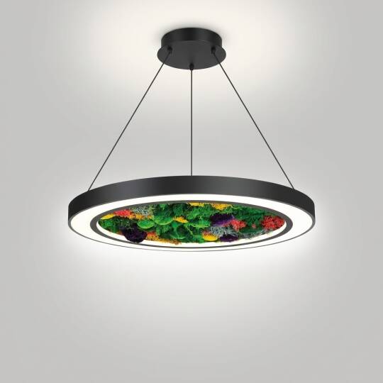 ACK 75W Yapay Yosunlu Biyofilik Dekoratif Linear Sarkıt Ø60 cm İnce Kenar Yosunlu Tavan Siyah Kasa AL02-22101 - 3