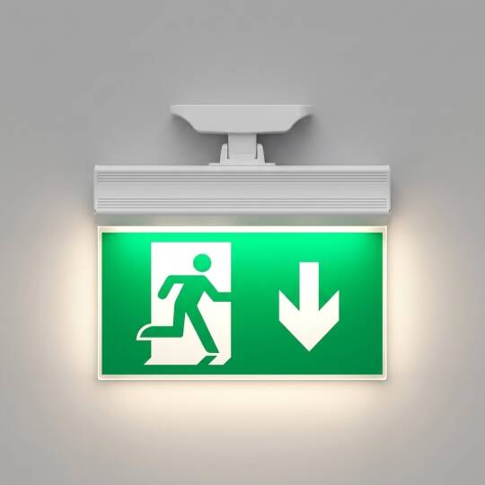 ACK LED Acil Çıkış Yönlendirme Tabelası (Aşağı Ok Yönlendirmeli) AC14-10753 - 3