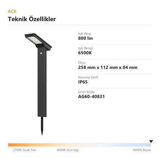 ACK Solar Bahçe Lambası (PIR Hareket Sensörlü) 6500K 800 lm AG60-40831 - 4