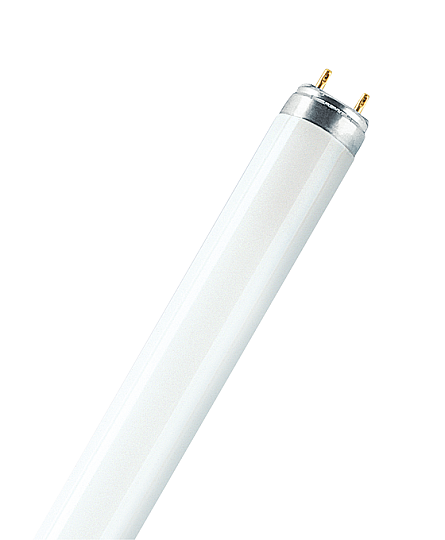 Osram 36W/840 T8 XT G13 Floresan Ampul